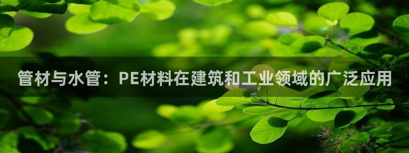 球盟会网址