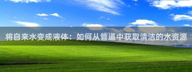 球盟会国际官网