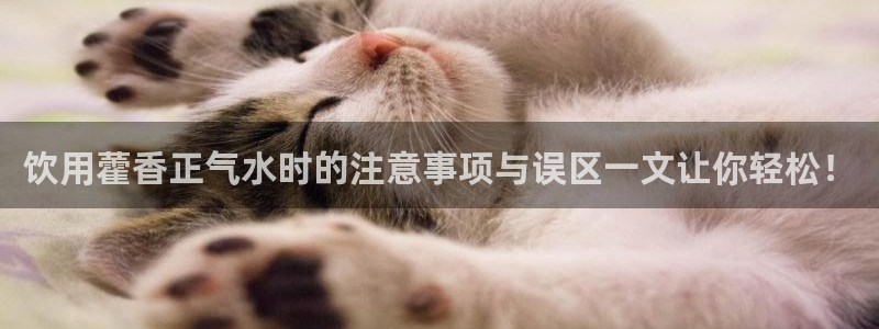 球盟会官网