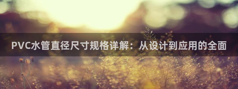 球盟会登陆