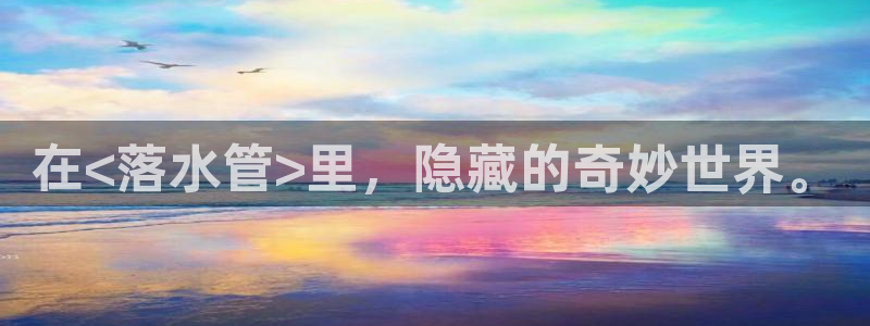 球盟会唯一