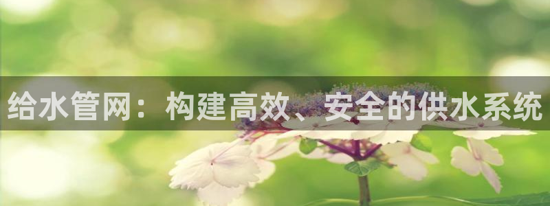 球盟会可以提现么