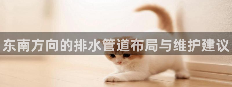 球盟会黑台子