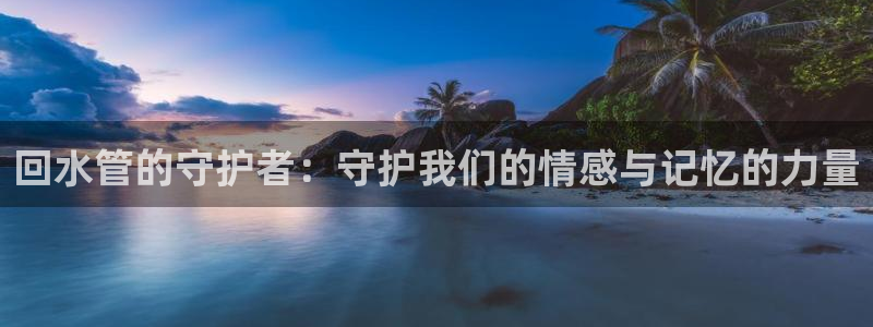 球盟会黑台子吗