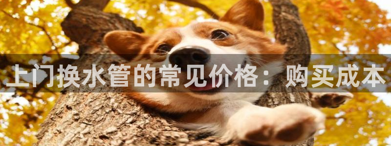 球盟会网页版