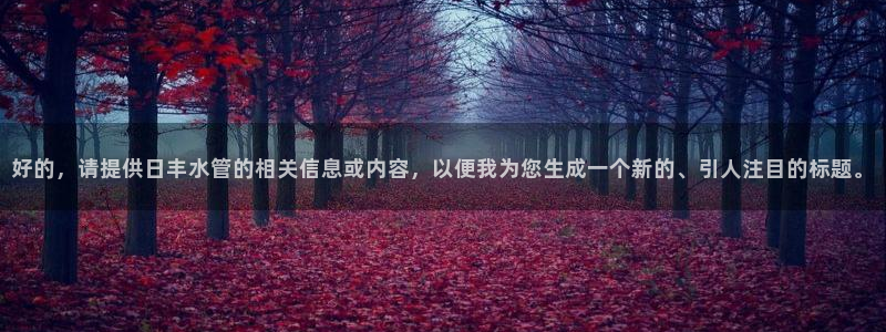 球盟会官方最新入口