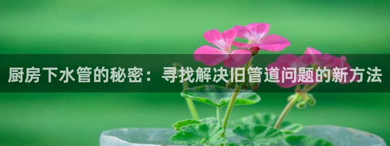 球盟会官网入口