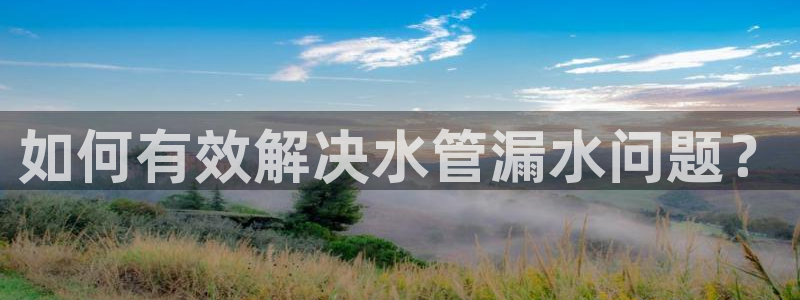 球盟会电子好下吗