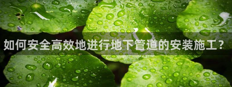 球盟会app安装