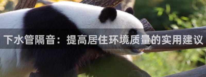 球盟会出款黑了