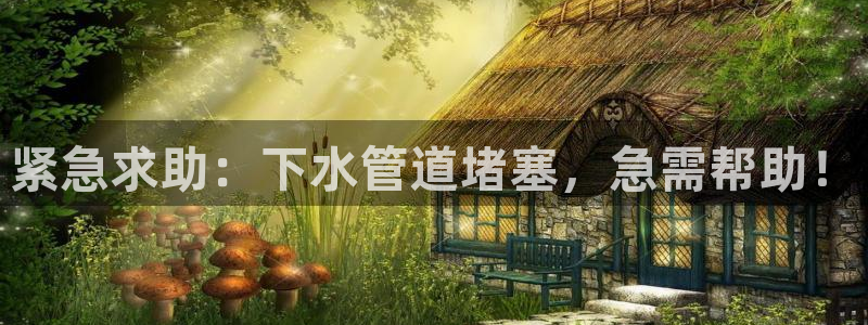 球盟会app入口