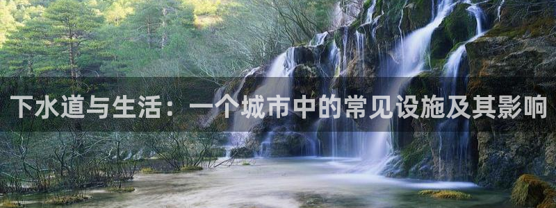 球盟会最新