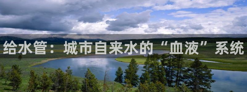 球盟会官方版下载地址