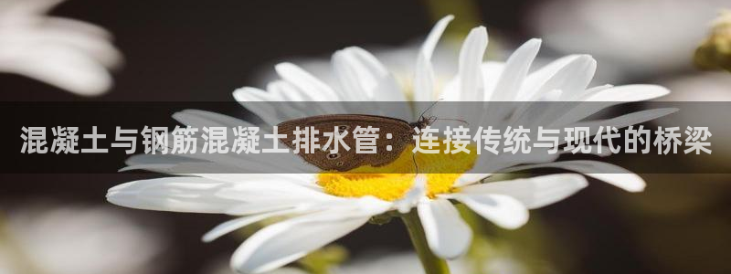 球盟会里面有打牌的嘛是真的吗