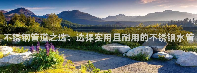 球盟会论坛