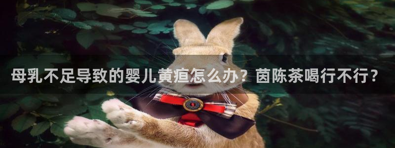 球盟会网址多少