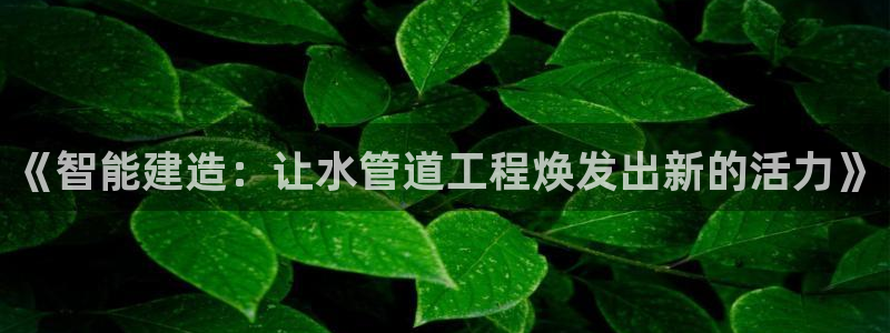 球盟会黑款吗还是白款