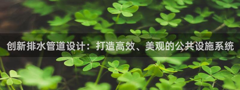 球盟会黑