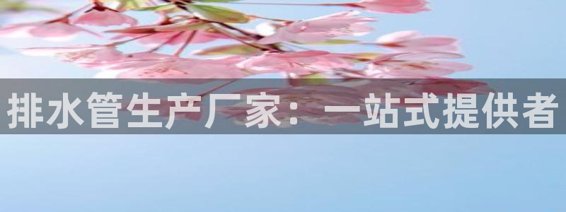球盟会黑款吗还是白款