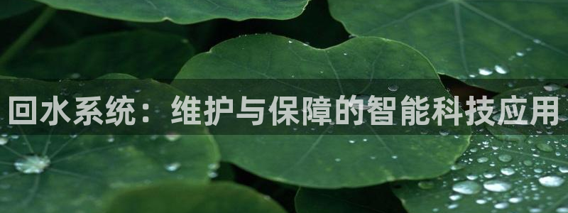 球盟会贴吧