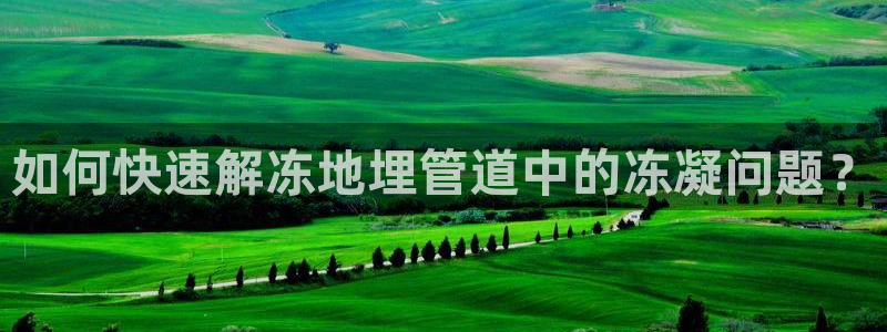 球盟会APP下载