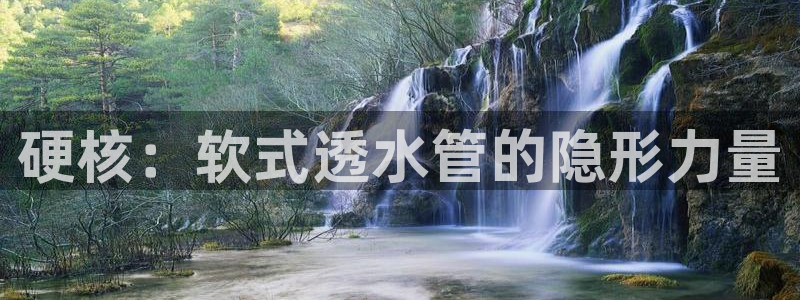 球盟会几点玩合适