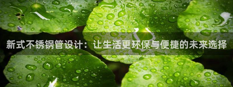 球盟会官方入口