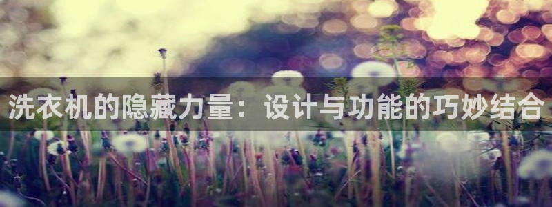 球盟会手机网页版
