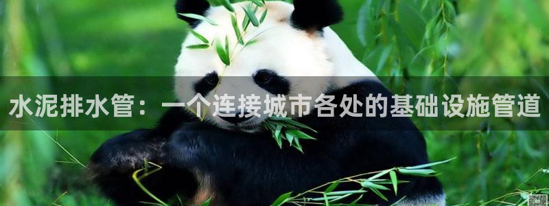 球盟会提款支付宝怎么样