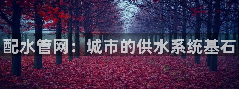 球盟会可以提现么是真的吗