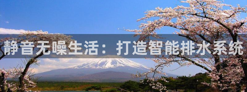 球盟会封号