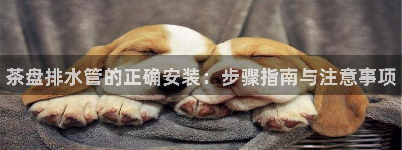 球盟会能退钱吗