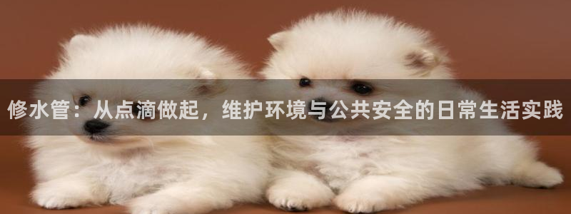 球盟会网页登录入口