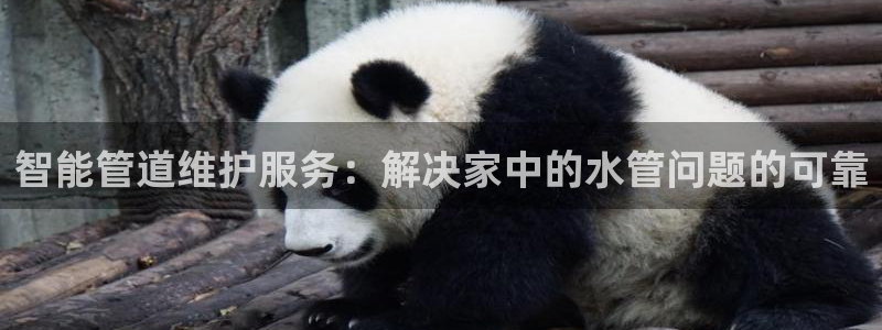 球盟会qmh网址