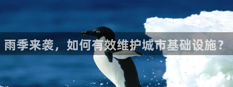 球盟会黑嘛