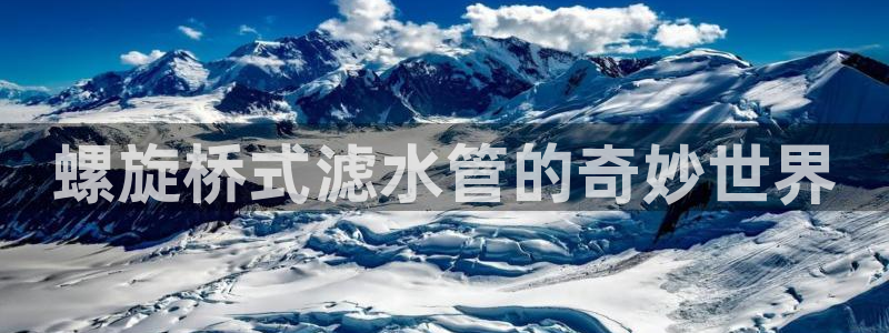 球盟会电子