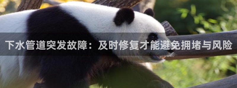 球盟会qmh - 球盟会官方网站