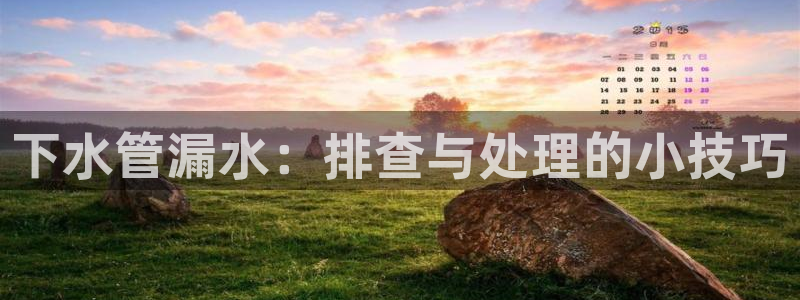 球盟会用的客服聊天是哪个软件