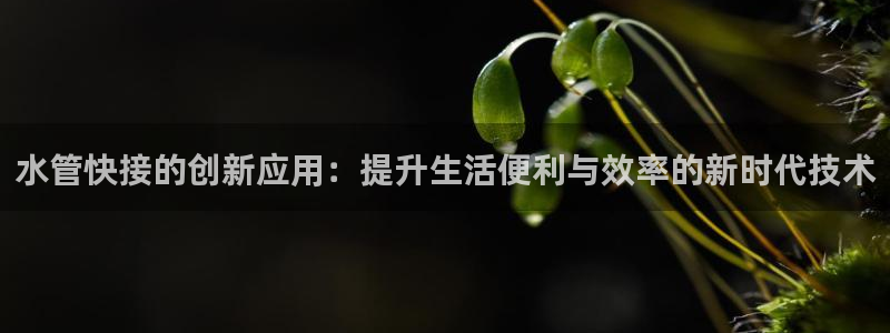 球盟会体育app官方网站