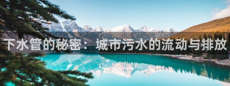 球盟会头号玩家是谁