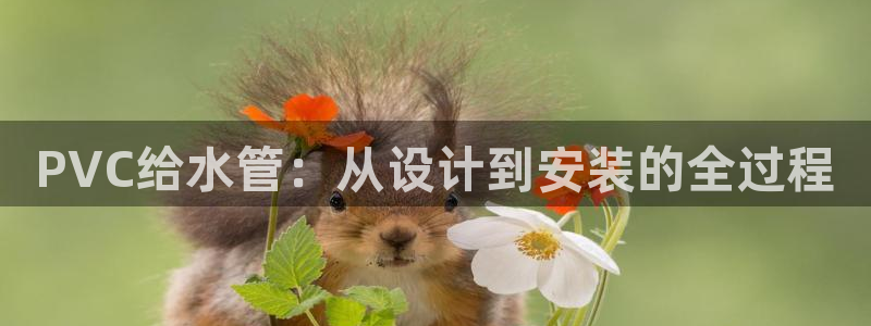 球盟会官方网址入口