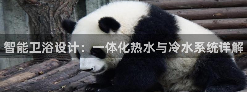 球盟会综合体育平台怎么样