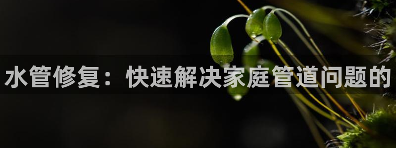 球盟会网页登录入口