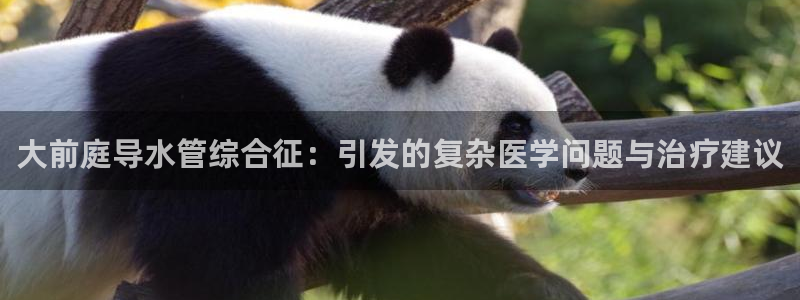 球盟会qmh网页版登录 - qm球盟会官方网站