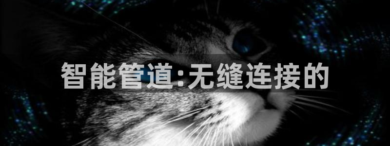 球盟会可以提现么现在