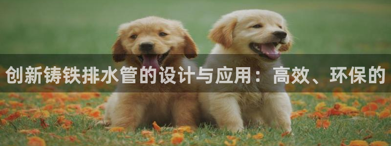 球盟会官方版下载地址