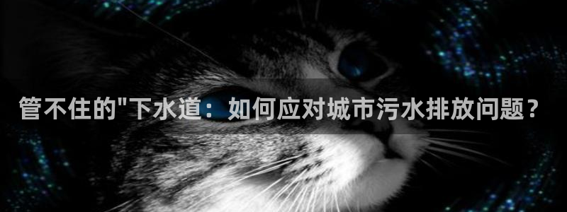 球盟会官网入口
