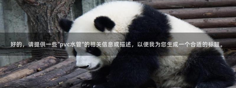 球盟会用的客服聊天是哪个软件