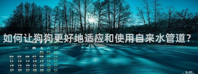 球盟会黑钱