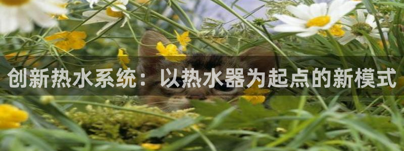 球盟会APP最新地址
